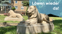 Löwen in Lützen © Stadt Lützen / Camilo Rodriguez l wen wieder da webbanner