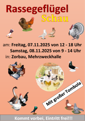 Plakat A3