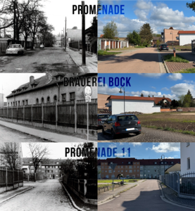 collage promenade